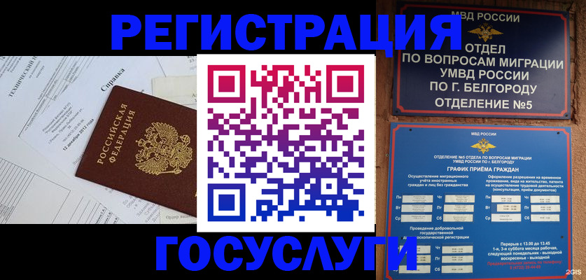 временная прописка в Кашине